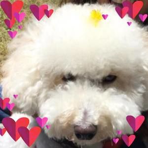 Meet your Posher, Eunjin